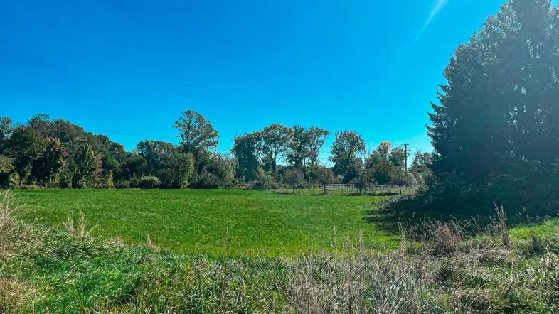 Grünes Feld unter blauem Himmel mit Bäumen und ländlicher Umgebung im Hintergrund.