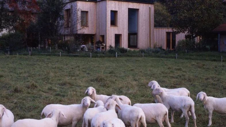 Modernes Holzhaus in ländlicher Umgebung mit Schafen auf einer grünen Wiese im Vordergrund.