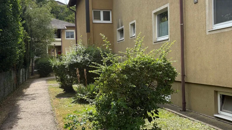 Außenansicht eines Wohngebäudes mit bekiestem Weg und grünen Büschen im Vorgartenbereich.