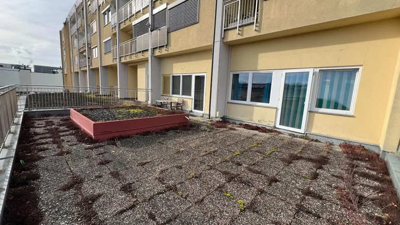 Große Dachterrasse mit Pflanzbeet und Zugang zu mehreren Fenstern und Türen.