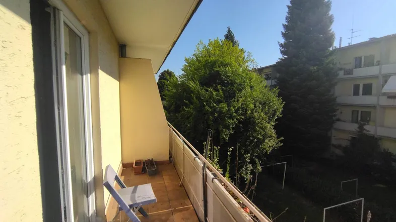 Sonniger Balkon mit Pflanzen und Blick auf hohe Bäume und die Nachbarschaft.