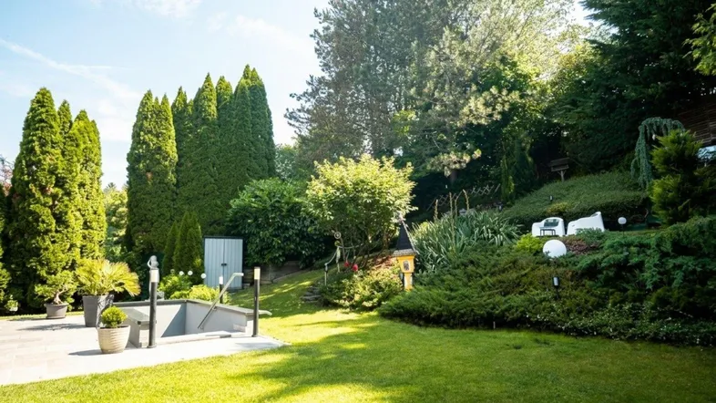 Weitläufiger Gartenbereich mit sattgrünem Rasen, altem Baumbestand und gepflastertem Zugang.