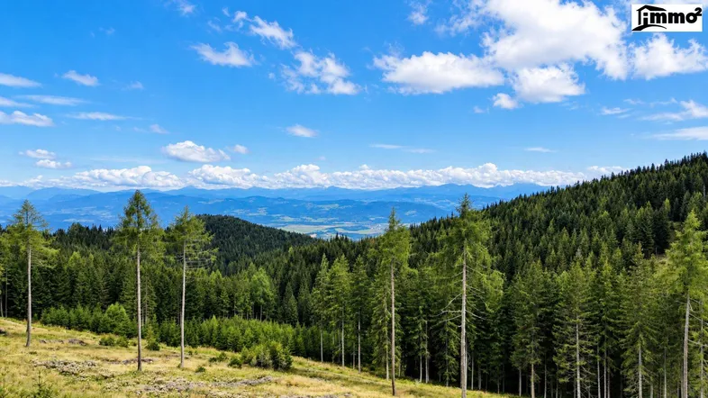 Weitläufige Berglandschaft mit dichten Wäldern und blauem Himmel, ideal für Naturliebhaber.