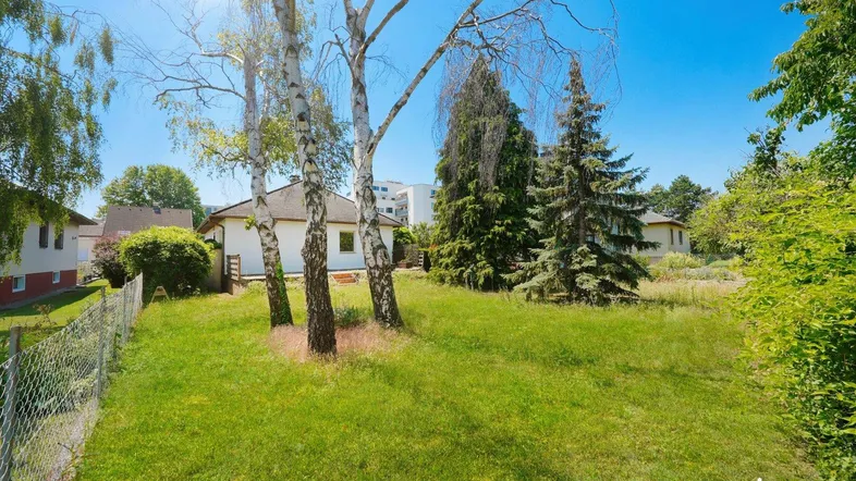 Großer sonniger Garten mit Rasenfläche, hohen Bäumen und Blick auf das Einfamilienhaus.