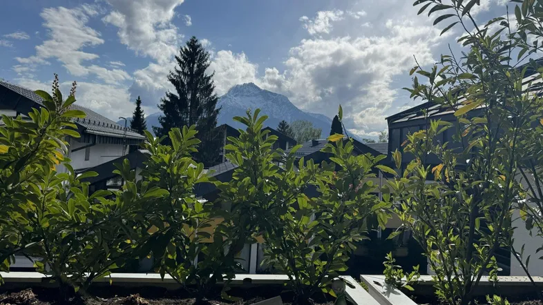 Blick von einem Balkon mit Pflanzen auf die majestätischen Berge unter blauem Himmel.