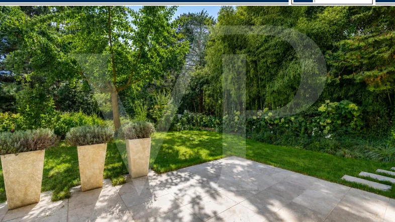 Großzügige Steinterrasse mit dekorativen Pflanzen und direktem Zugang zu einem gepflegten, grünen Garten.