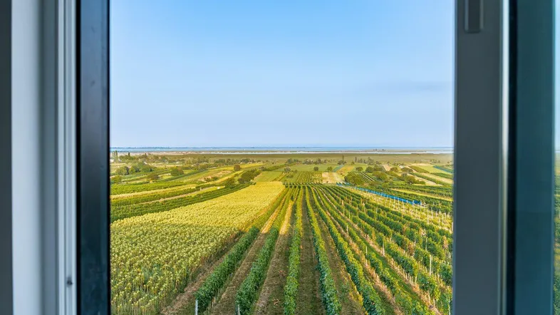 Weitläufiger Blick aus dem Fenster über Weinberge und Felder bis zum Horizont.