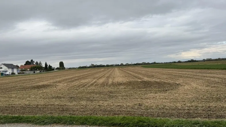 Weitläufiges Feld unter einem bewölkten Himmel mit Häusern in der Ferne, das eine ländliche Aussicht bietet.