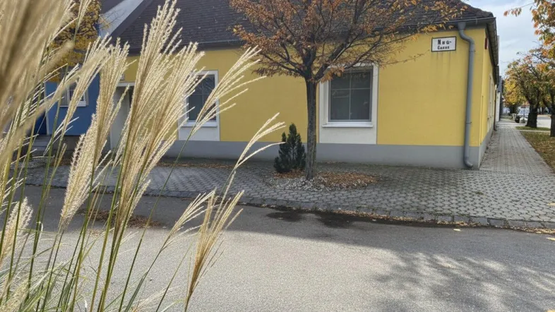 Gelbes Haus mit dunklem Dach und einem Baum davor an einer ruhigen Straße.