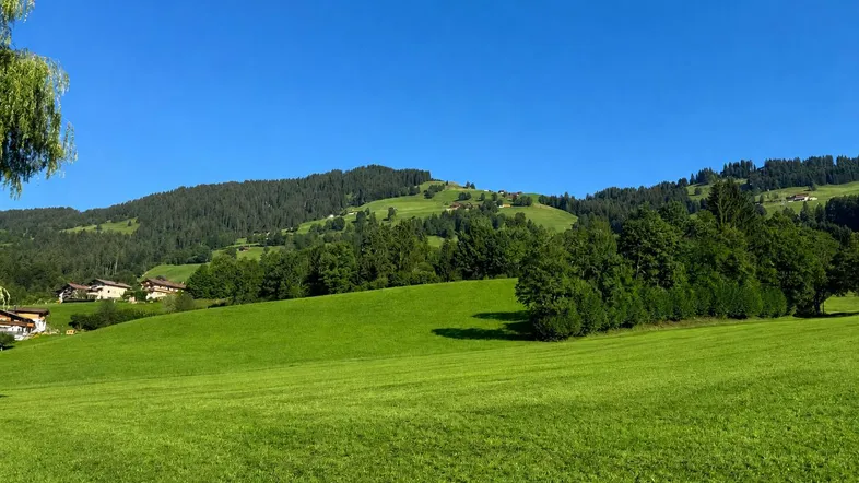 Weitläufige grüne Hügellandschaft mit vereinzelten Häusern unter strahlend blauem Himmel.
