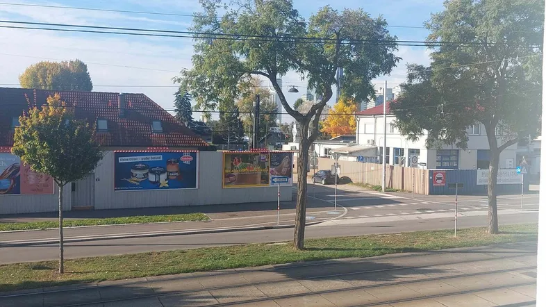 Blick aus dem Fenster auf eine belebte Straße mit Bäumen und umliegenden Gebäuden unter blauem Himmel.