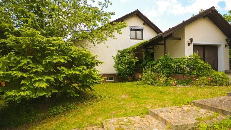 Vorderansicht des Hauses mit üppigem Grün, Rasenfläche und einem großen Baum im Vorgarten.