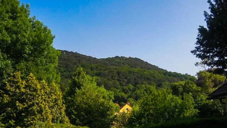 Malerischer Blick auf bewaldete Hügel und ein verstecktes Haus unter blauem Himmel.