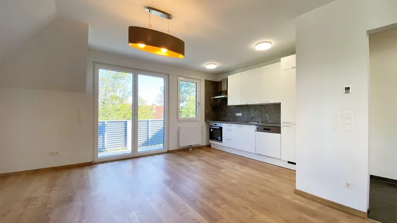 Heller offener Wohnbereich mit integrierter Küche, Holzboden und Zugang zum Balkon.
