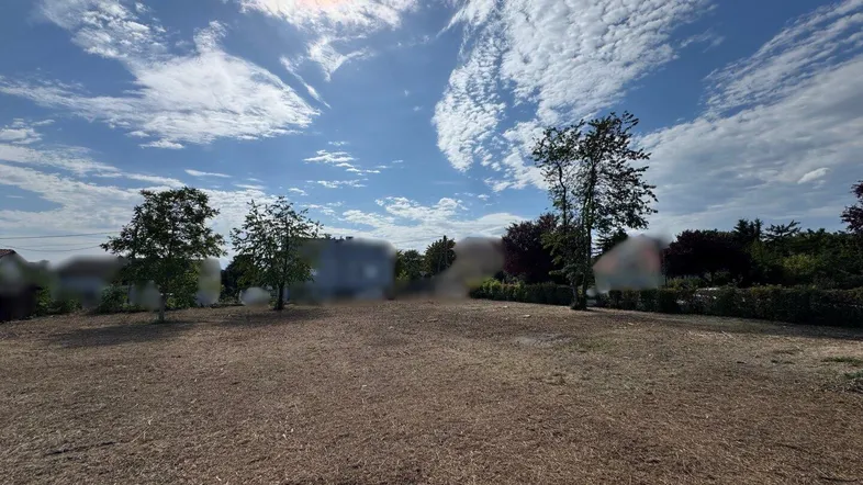 Sonniges Grundstück mit trockener Wiese und Bäumen unter einem weiten blauen Himmel.