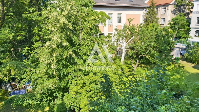 Blick auf das Gebäude und den grünen Gartenbereich mit altem Baumbestand.