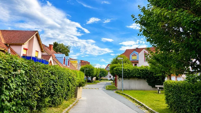 Wohnstraße mit gepflegten Hecken und Häusern in einer ruhigen Wohngegend.
