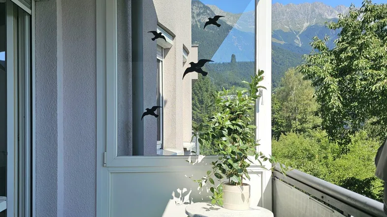 Gemütlicher Balkon mit Bergblick und viel Grün, ideal für entspannte Stunden im Freien.