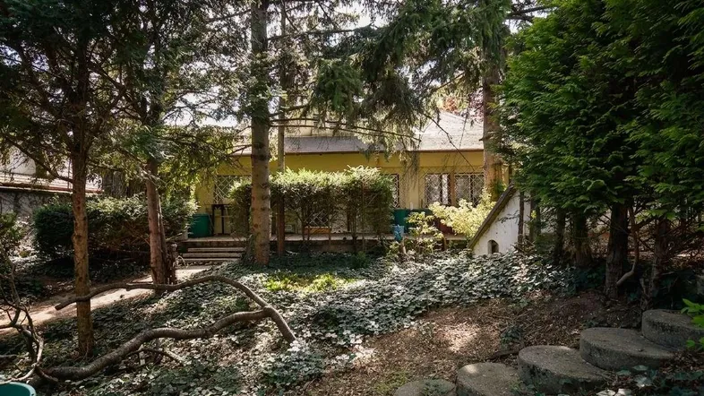 Hausfassade umgeben von dichtem Grün und hohen Bäumen, mit einem Gartenweg im Vordergrund.