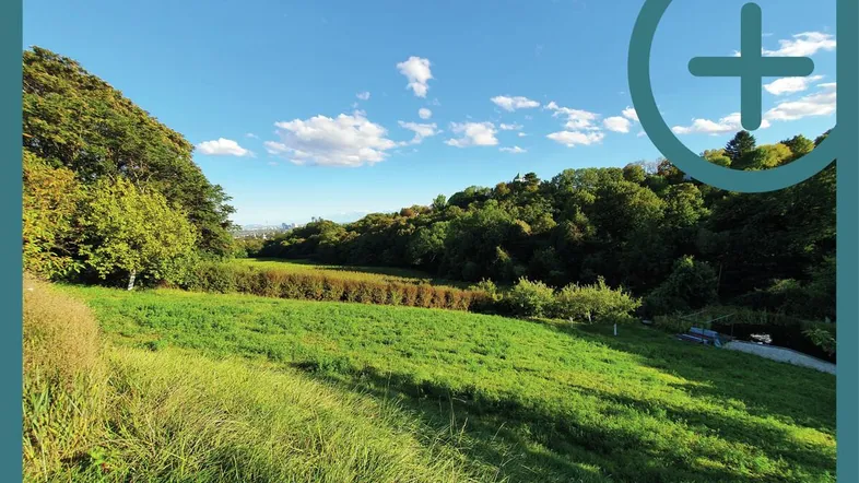 Weitläufige grüne Wiesenfläche mit Bäumen und Hügeln unter blauem Himmel, ideal für Naturliebhaber.