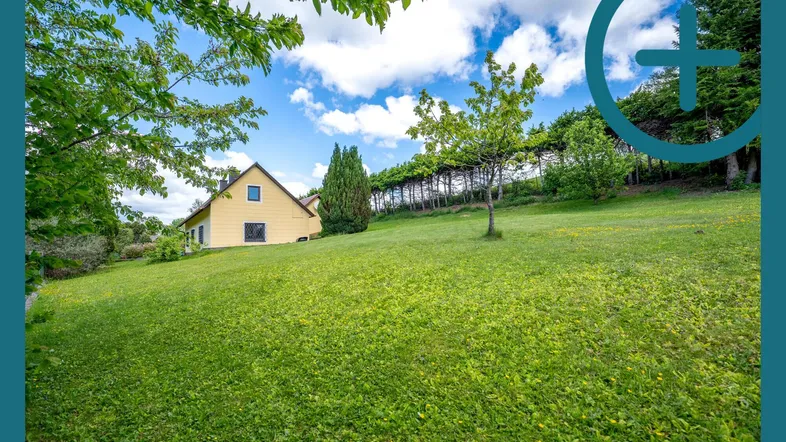 Großzügiger Gartenbereich mit weitläufiger Rasenfläche und Blick auf das gelbe Haus.