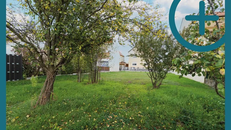 Grüner Gartenbereich mit jungen Bäumen und Rasenfläche, umgeben von Wohngebäuden.