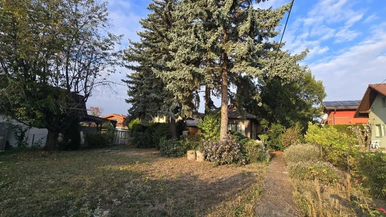 Großer Gartenbereich mit altem Baumbestand und einem kleinen Pfad unter blauem Himmel.
