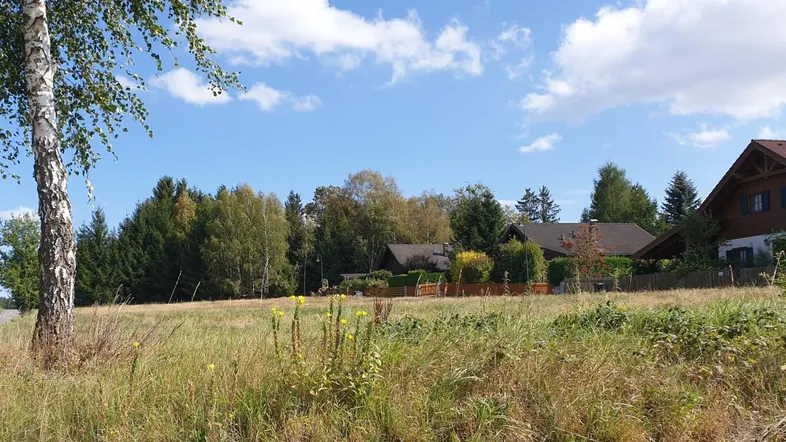 Weite Wiesenlandschaft mit Bäumen und Häusern im Hintergrund unter blauem Himmel.