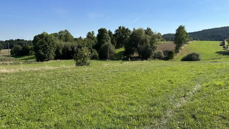 Weitläufige grüne Wiesen und Felder unter blauem Himmel mit vereinzelten Bäumen und Hügeln.