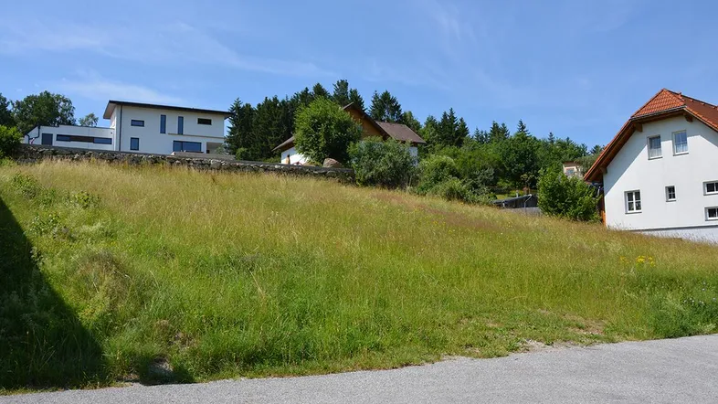 Grüne Wiese mit Blick auf moderne und traditionelle Häuser in ländlicher Umgebung unter blauem Himmel.