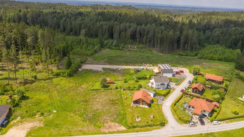 Luftaufnahme einer ländlichen Wohnsiedlung mit angrenzendem Wald und viel Grünfläche.