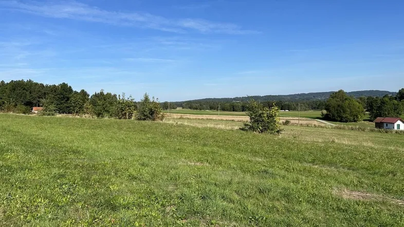 Weitläufige grüne Felder unter blauem Himmel mit vereinzelten Bäumen und einem kleinen Haus in der Ferne.