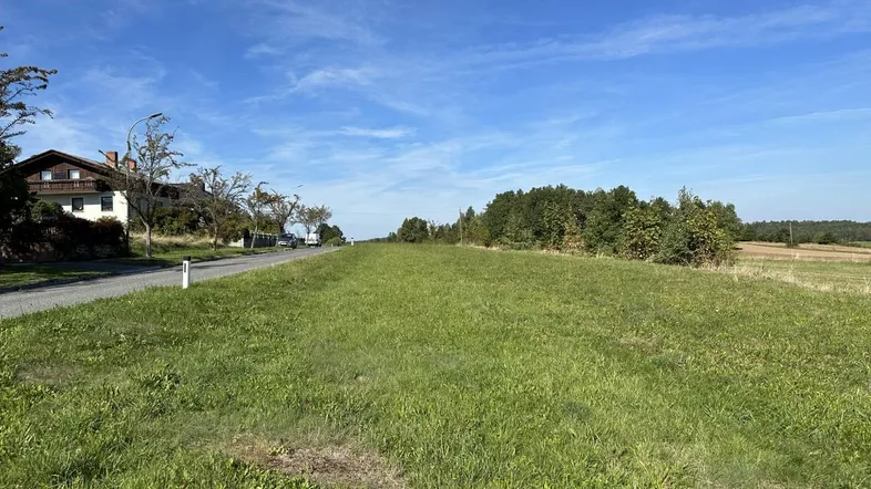 Weitläufige grüne Wiese neben einer Landstraße mit einem Haus in der Ferne unter blauem Himmel.