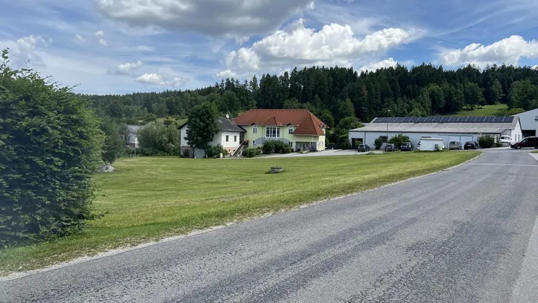 Weitläufige Außenansicht eines Hauses mit großem Rasen und angrenzendem Waldgebiet unter bewölktem Himmel.