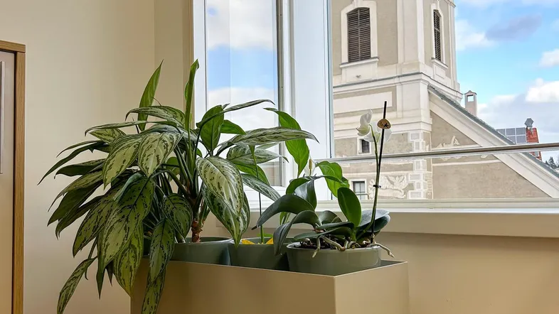 Heller Innenraum mit einem großen Fenster, das einen malerischen Blick auf einen Kirchturm bietet.