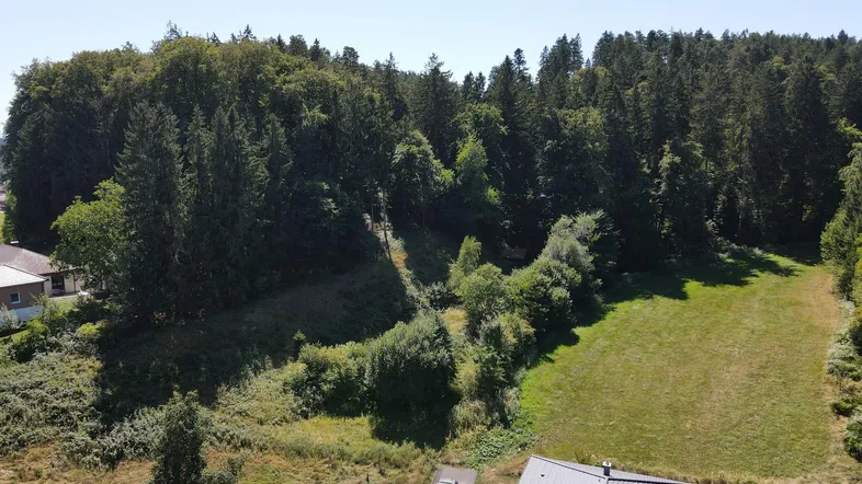 Luftaufnahme eines Hauses mit angrenzendem Waldgebiet und weitläufigen Grünflächen unter blauem Himmel.