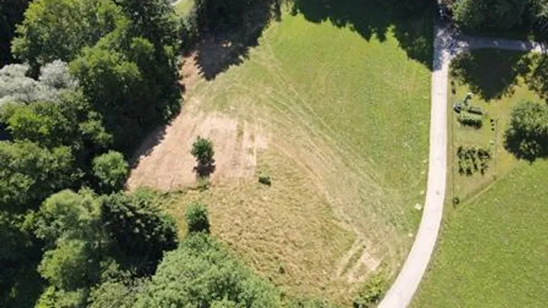 Luftaufnahme eines weitläufigen Grundstücks mit Waldrand, Wiesenflächen und Zufahrtsweg.