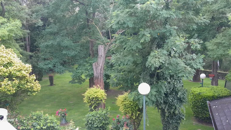 Üppiger grüner Garten mit altem Baumbestand und dekorativen Gartenleuchten, ideal zur Entspannung.