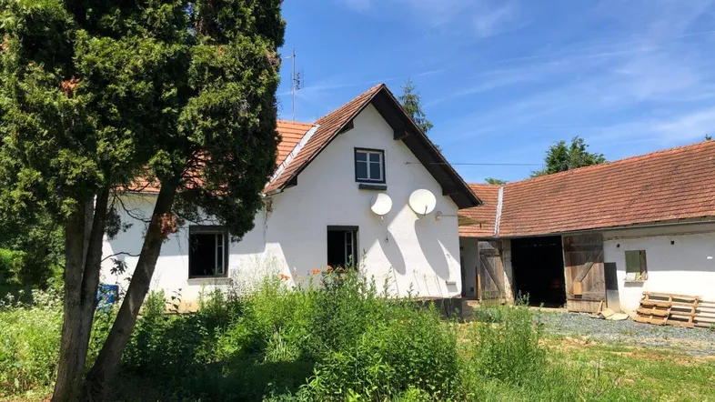 Blick auf das ländliche Wohnhaus mit Satteldach und üppigem, grünem Gartenbereich.