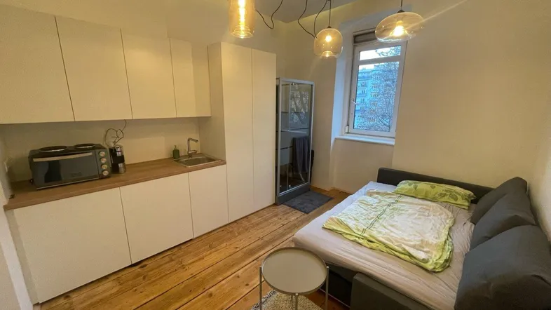 Gemütliches Studio-Apartment mit integrierter Küchenzeile, Schlafsofa und separater Duschkabine.
