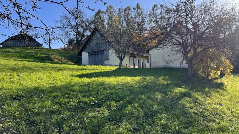Alte ländliche Gebäude auf einem sonnigen, grasbewachsenen Hügel mit Bäumen im Herbstlaub.