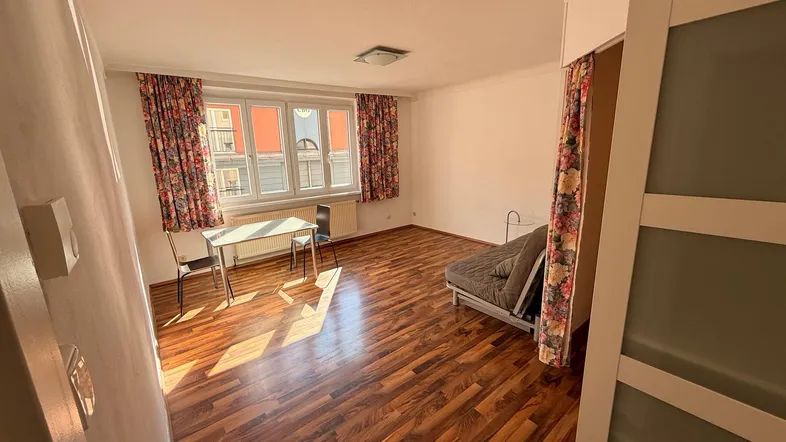 Helles Wohnzimmer mit Holzboden, Schlafsofa und Esstisch, durch große Fenster gut belichtet.