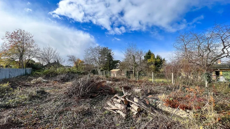 Geräumiges Grundstück mit Holzstapeln und Bäumen unter blauem Himmel.