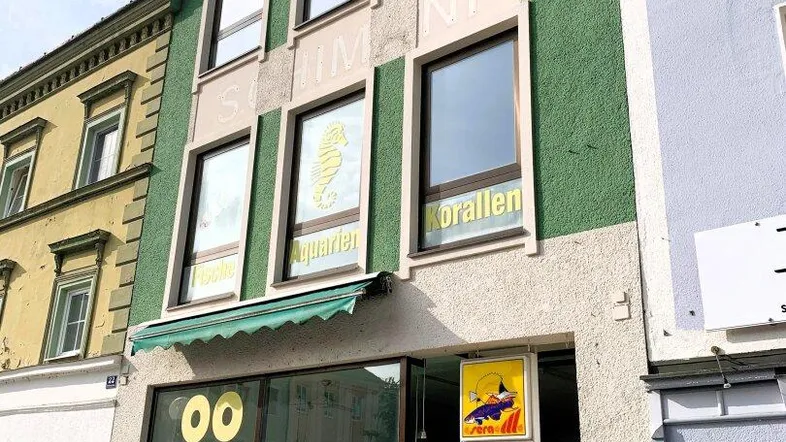 Grünes Gebäude mit großen Schaufenstern und Werbeschildern in einer städtischen Umgebung.