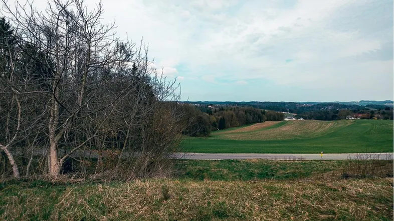 Weitläufige Landschaft mit grünen Feldern, Bäumen und einer Straße unter bewölktem Himmel.