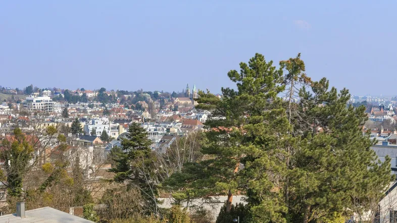 Panoramablick über die Stadt mit grünen Bäumen im Vordergrund und blauer Himmel.