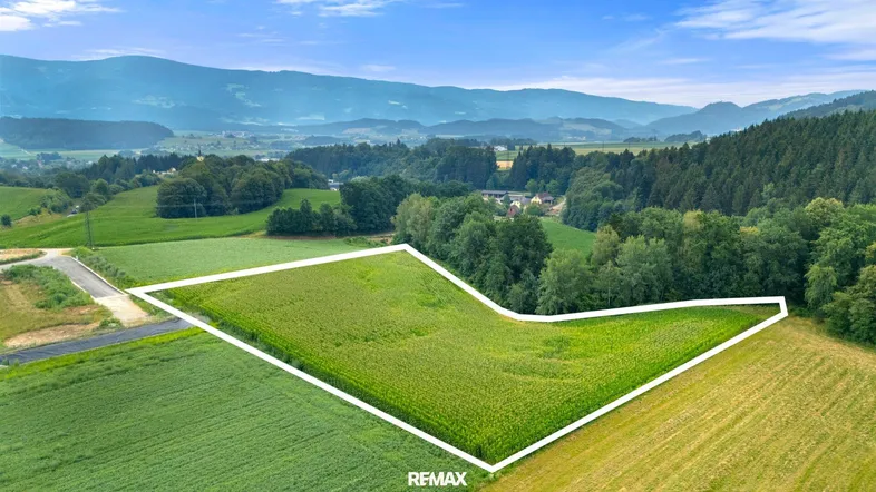 Luftaufnahme eines großen grünen Feldes, umgeben von Wäldern und Bergen unter blauem Himmel.