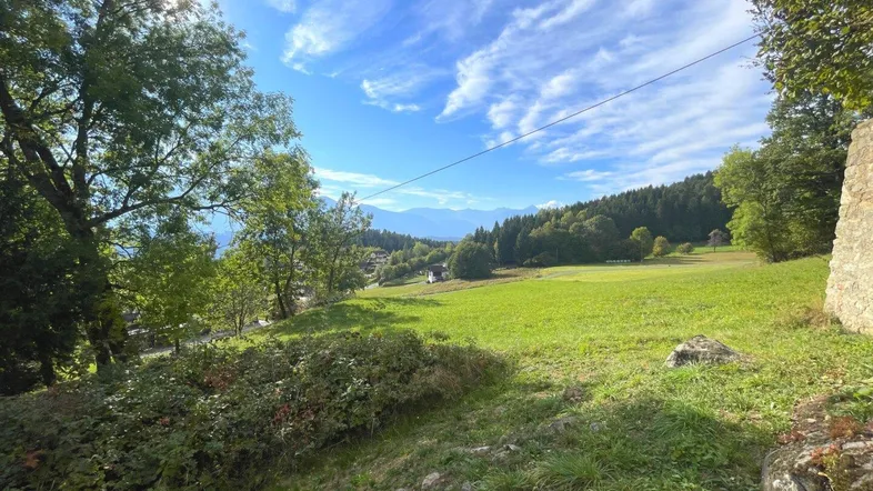 Weitläufige grüne Landschaft mit Bäumen und Bergen im Hintergrund unter blauem Himmel.