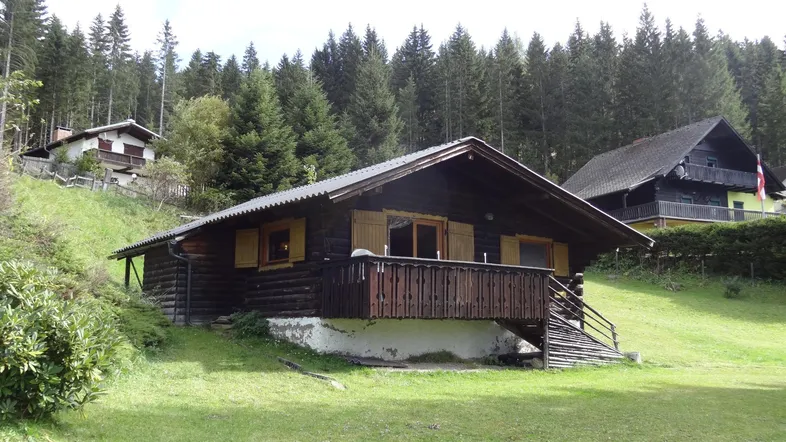 Rustikales Holzchalet auf einem grünen Hang mit Wald im Hintergrund, umgeben von Natur.