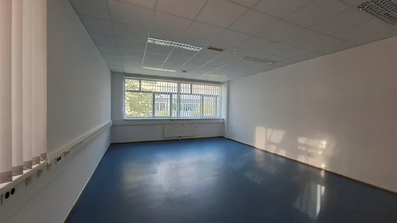 Leerer Büroraum mit blauem Vinylboden, weißen Wänden und großen Fenstern, bereit zur individuellen Gestaltung.